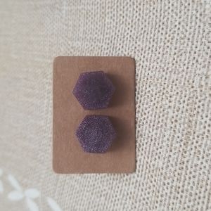 Shiny Purple Stud Earrings.